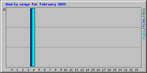 Hourly usage for February 2025