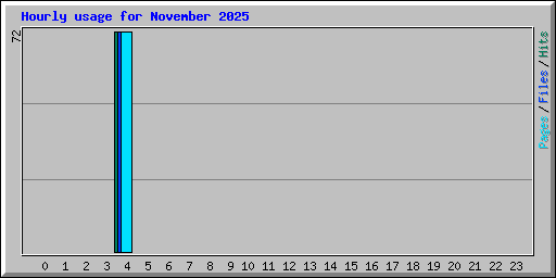 Hourly usage for November 2025